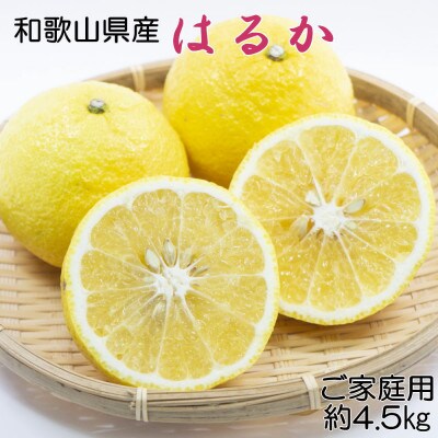 【さわやか柑橘】和歌山県産はるかみかん約4.5kg(サイズ混合　ご家庭用)【日高町】
