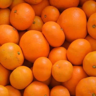 「農園直送」有田の旬の食べごろみかん約5kg(サイズ混合)(日高町)