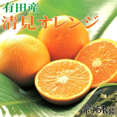【発送月固定定期便】和歌山の春のフルーツ(ポンカン・清見オレンジ・まりひめ)全3回
