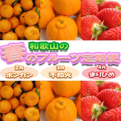 【発送月固定定期便】和歌山の春のフルーツ(ポンカン・不知火・まりひめ)全3回