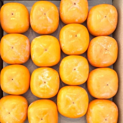 【秋の味覚】和歌山産たねなし柿約7.5kg(L～4Lサイズおまかせ・秀品)(日高町)