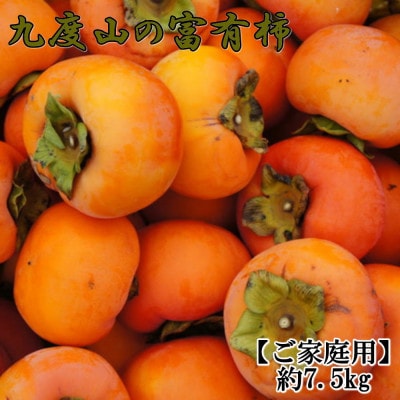 九度山の富有柿約7.5kgご家庭用(日高町)