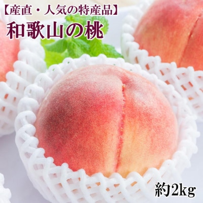 【産直・人気の特産品】和歌山の桃　約2kg・秀品【2025年度発送分】(日高町)