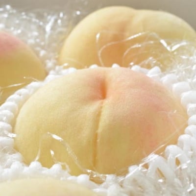【産直・人気の特産品】和歌山の桃　約2kg・秀品【2025年度発送分】(日高町)