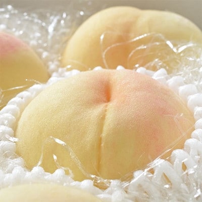 【産直・人気の特産品】和歌山の桃　約4kg・秀品【2025年度発送分】(日高町)