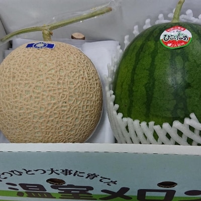 和歌山県産温室アールスメロンと小玉スイカの詰め合わせ