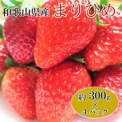 【2026年1月発送】和歌山県産ブランドいちご「まりひめ」約300g×4パック入り(日高町)