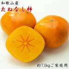 【秋の味覚】和歌山産たねなし柿ご家庭用約7.5kg(サイズおまかせまたは混合)【日高町】
