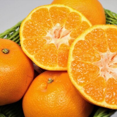 【厳選・濃厚】紀州有田産のはるみ約5kg(Lサイズ)  (日高町)