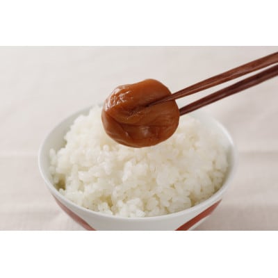 【ご家庭用】訳ありしそかつお梅干し800g 紀州南高梅うめぼしわけあり和歌山産/紀伊国屋文左衛門本舗