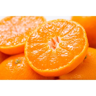 ブランド有田みかん【S】秀品10kg/薄皮で甘い美味しいみかん/産地直送