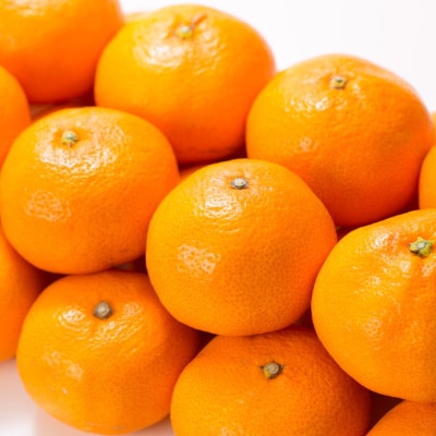 ブランド有田みかん【S】秀品10kg/薄皮で甘い美味しいみかん/産地直送