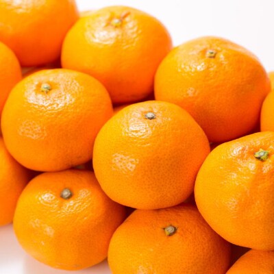 ブランド有田みかん 秀品5kgLMS【サイズおまかせ】薄皮で甘い美味しいみかん