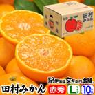 【日高町】田村みかん 特選ギフト品10kg【Lサイズ】赤秀/湯浅町田村地区産/産地直送