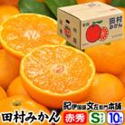 【日高町】田村みかん 特選ギフト品10kg【Sサイズ】赤秀/湯浅町田村地区産/産地直送
