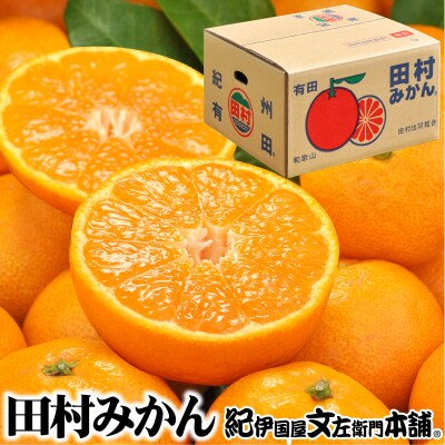 【日高町】田村みかん 特選ギフト品3kg【サイズおまかせ】湯浅町田村地区産/産地直送