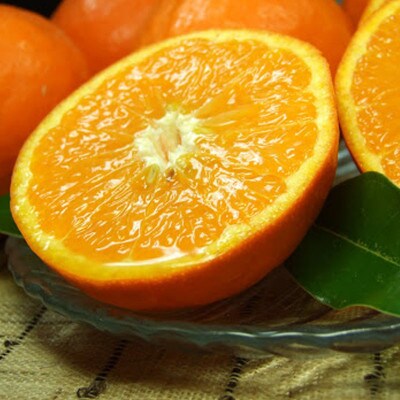 セミノールオレンジ[約5kg]和歌山県有田産春みかん(果実サイズおまかせ)