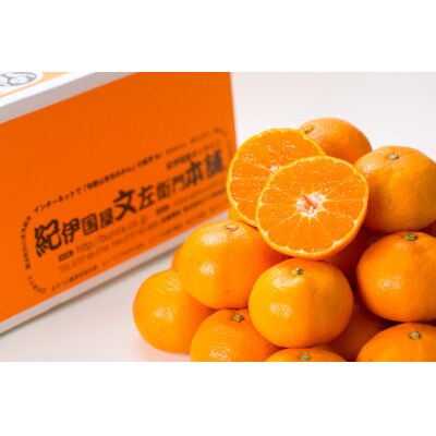 【日高町】田村みかん 秀品 約5kg【大玉サイズ】約20～30果/湯浅町田村地区産/産地直送