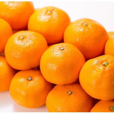 【日高町】田村みかん 秀品 約5kg【大玉サイズ】約20～30果/湯浅町田村地区産/産地直送