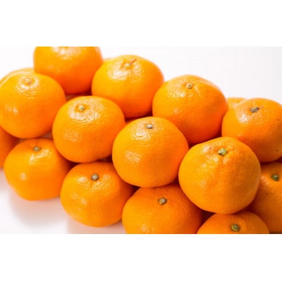 有田みかん 約15kg(+傷み補填分1kg)=合計16kg【サイズおまかせ】薄皮で甘い美味しいみかん