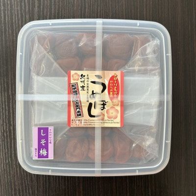 甘口しそ梅干し　500g　ご家庭用　C級品　紀州南高梅　和歌山産