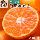 家庭用 有田みかん1kg+250g(傷み補償分)【光センサー選果】【訳あり】