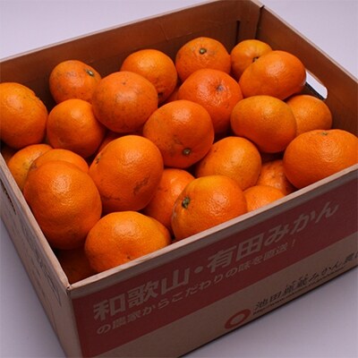 【2022年11月下旬発送】家庭用完熟有田みかん4kg+120g(傷み補償分)