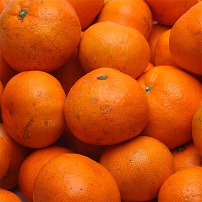 【2022年11月下旬発送】＜11月より発送＞訳あり完熟有田みかん5kg+150g(傷み補償分)