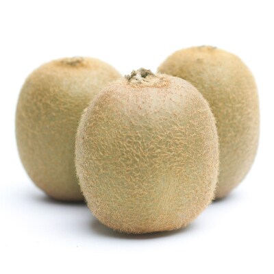 【2022年2月中旬発送】キウイフルーツ1.3kg+39g(傷み補償分)【和歌山有田産】