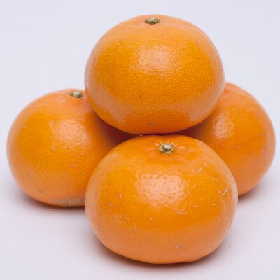 【2022年3月上旬発送】<3月発送>厳選 せとか1kg+30g(傷み補償分)