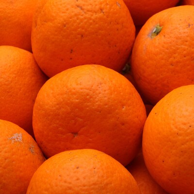 ＜2月より発送＞厳選 清見オレンジ2kg+60g(傷み補償分)【光センサー】【樹上完熟きよみ】