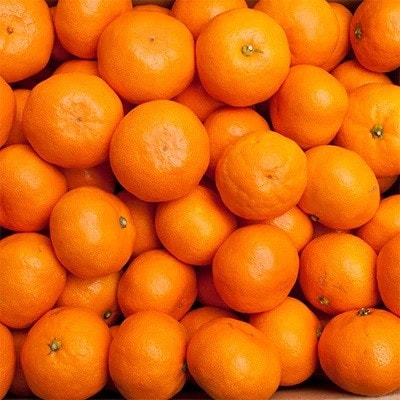 ＜先行受付＞厳選　越冬完熟みかん1.5kg+45g(傷み補償分)【ハウスみかん】【光センサー選果】