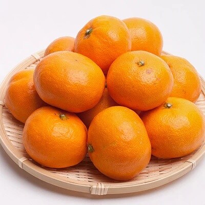 ＜先行受付＞厳選　越冬完熟みかん3.5kg+105g(傷み補償分)【ハウスみかん】【光センサー選果】
