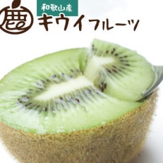 ＜先行受付＞家庭用キウイフルーツ1.7kg+51g(傷み補償分)【訳あり・扁平果】 | ふるさと納税のお礼品