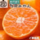 家庭用 有田みかん5kg+250g(傷み補償分)【光センサー選果】【訳あり】