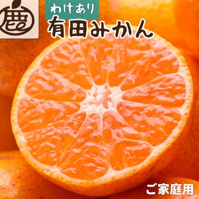 家庭用 有田みかん5kg+250g(傷み補償分)【光センサー選果】【訳あり】