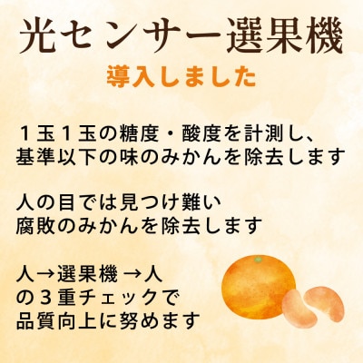 ＜2024年11月より発送＞家庭用 完熟有田みかん5kg+150g(傷み補償分)【わけあり・訳あり】