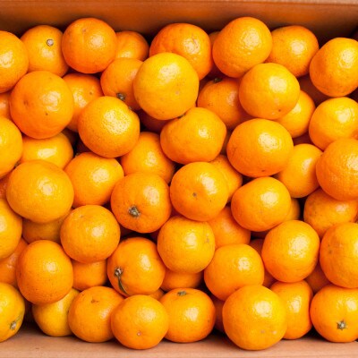 ＜先行受付＞厳選　小玉な有田みかん3kg+90g(傷み補償分)【光センサー選果】