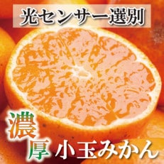 ＜先行受付＞家庭用 小玉な有田みかん4kg+120g(傷み補償分)【訳あり】【光センサー選果】