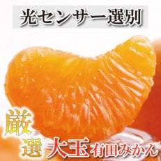 ＜先行受付＞厳選　大きな有田みかん5kg+150g(傷み補償分)【光センサー選果】
