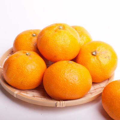 ＜先行受付＞厳選　大きな有田みかん5kg+150g(傷み補償分)【光センサー選果】
