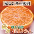 ＜先行受付＞厳選　完熟有田みかん5kg+150g(傷み補償分)【光センサー選果】
