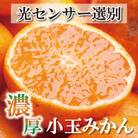 ＜先行受付＞家庭用　小玉な有田みかん8.5kg+255g(傷み補償分)【訳あり】【光センサー選果】