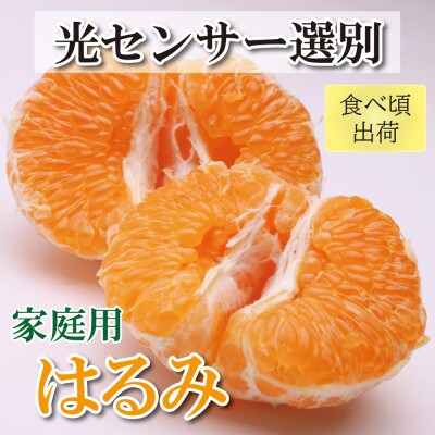 <2月より発送>家庭用 はるみ4kg+120g(傷み補償分)【デコポンの姉妹品種】【訳あり】