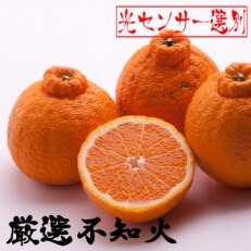 ＜2月より発送＞厳選 不知火2.5kg+75g(傷み補償分)【人気の春みかん】【光センサー食頃出荷】