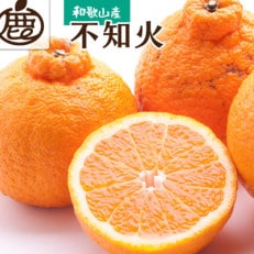 &lt;先行受付&gt;厳選 不知火2.5kg+75g(傷み補償分)【人気の春みかん】&lt;2月より発送&gt;