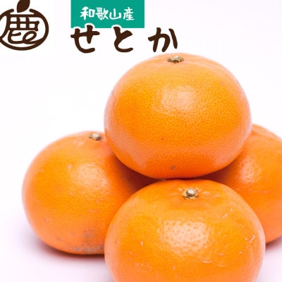 ＜2月発送＞厳選せとか2.5kg+75g(傷み補償分)【春みかんの大トロ】【光センサー選果】