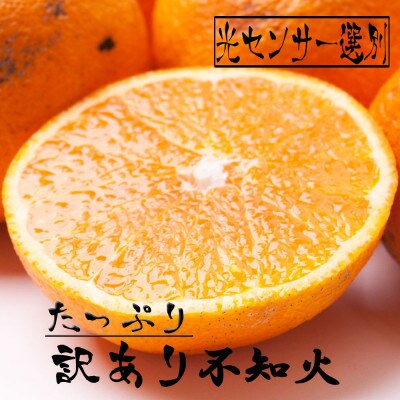 <2月より発送>家庭用 不知火4.8kg+144g(傷み補償分)【光センサー食頃出荷】【訳あり】