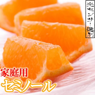 ＜4月より発送＞家庭用セミノールオレンジ5kg+150g(傷み補償分)【有田産】【わけあり】