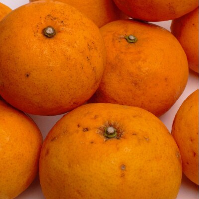 <2023年6月より発送>家庭用甘夏柑5kg+150g(傷み補償分)【有田産】【わけあり】